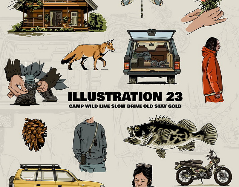 Латвийские силовики задержали корееведа Ланькова во время лекции в Риге